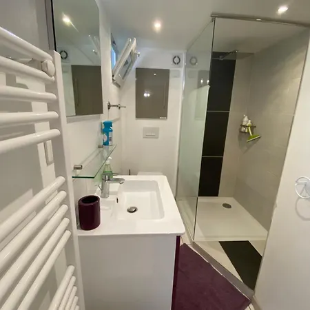 Gite Piscine Chauffee & Jacuzzi / Marais Poitevin Holiday home
