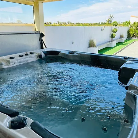 Gite Piscine Chauffee & Jacuzzi / Marais Poitevin Holiday home Coulon