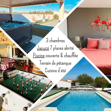 Gite Piscine Chauffee & Jacuzzi / Marais Poitevin